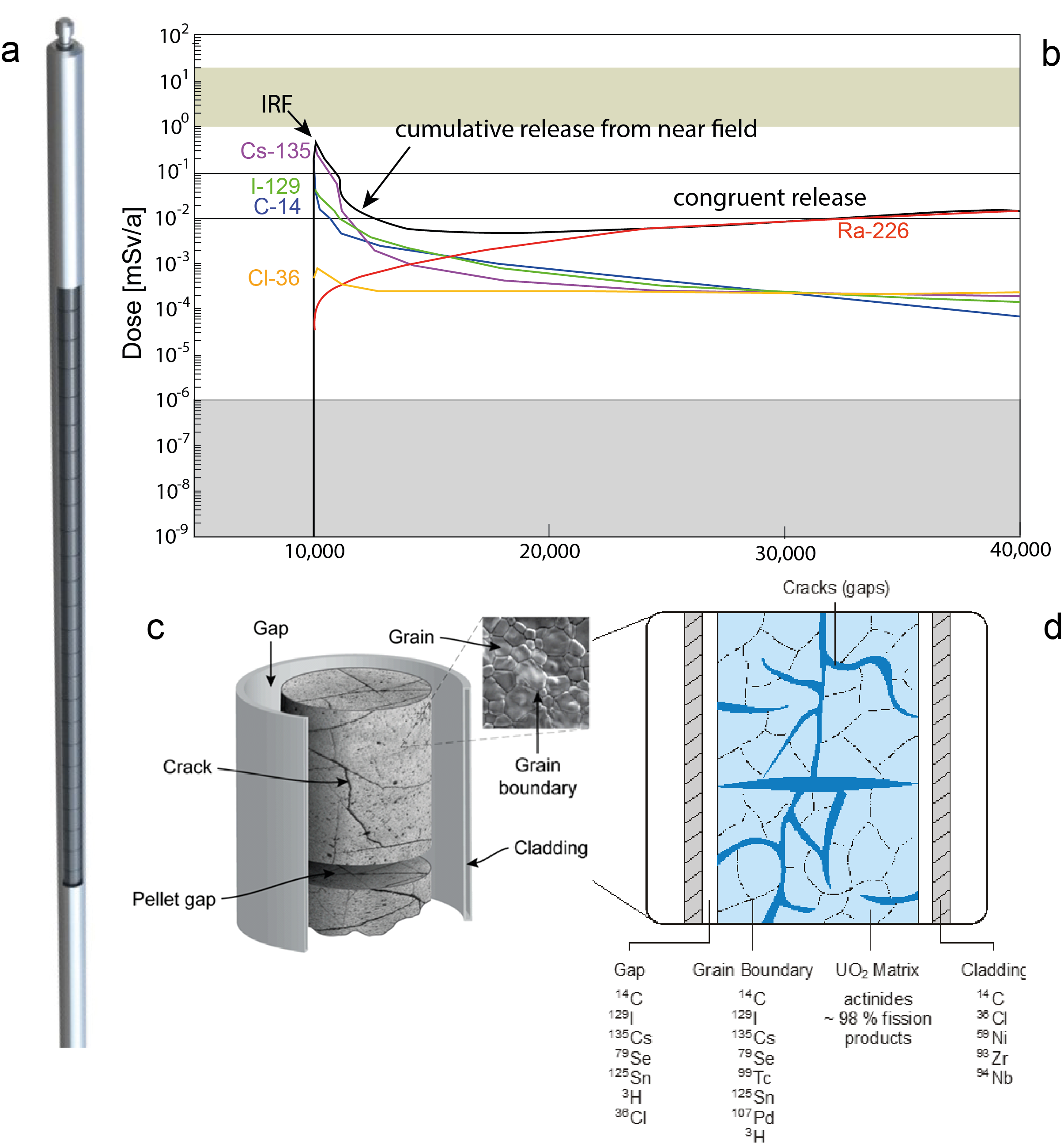 Main elements of the spent fuel that are assessed    a) Schematic view of a fuel rod, illustrating fuel pellets in Zircaloy cladding. b) Illustration of radionuclide release rates from the spent fuel following canister breaching, converted to dose rates using biosphere dose conversion factors. c) The macro and micro-structure of a fuel pellet after its irradiation. d) conceptual distribution of radionuclides in a spent fuel rod (from (Johnson 2014), redrawn after (Johnson & Tait 1997)).	