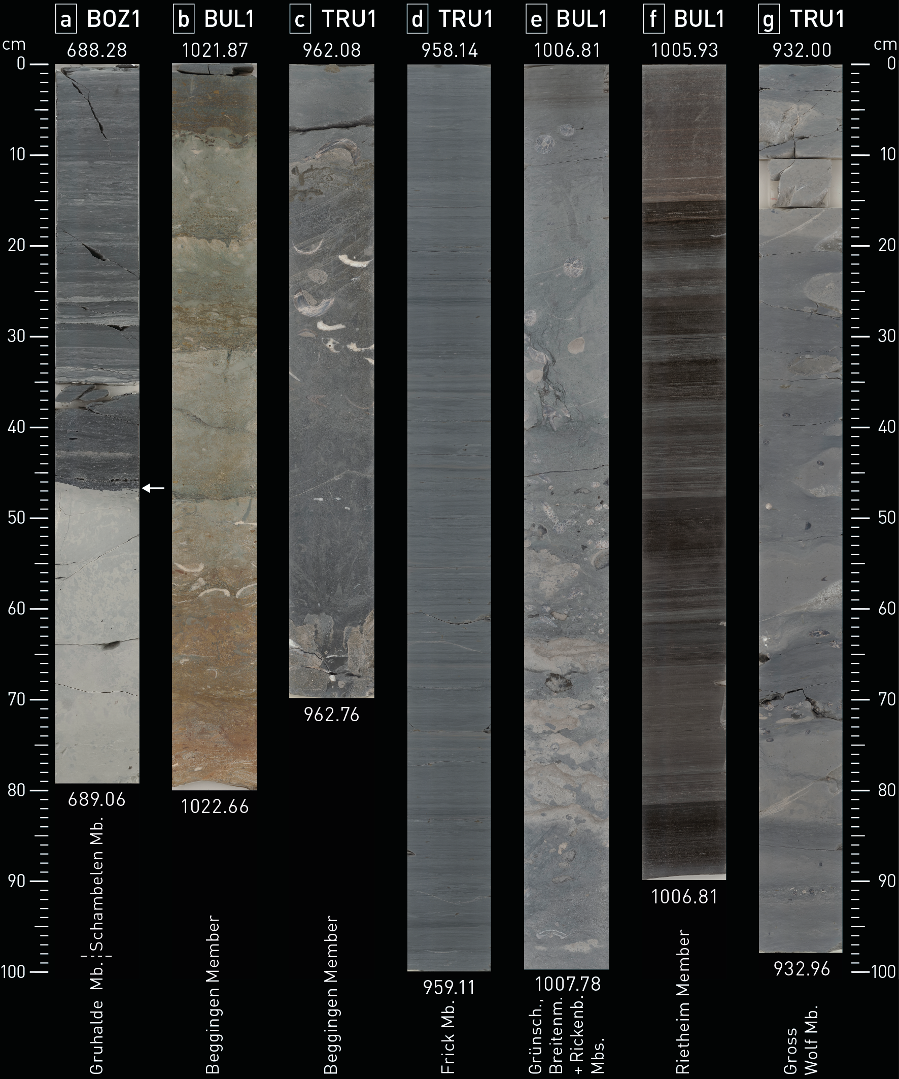 image42.png